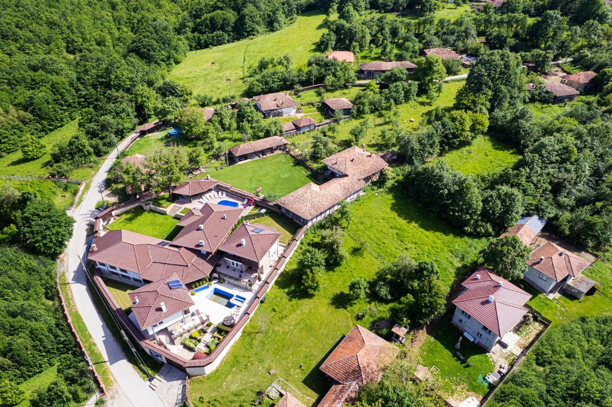 Вили Алекс Elena Cameră foto
